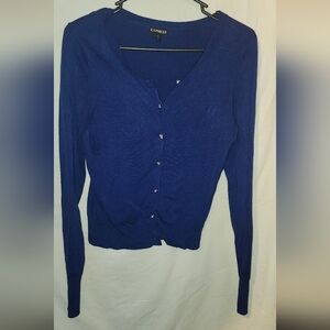 Express Royal Blue Knit Sweater